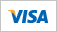  visa logo